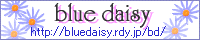 blue daisy
